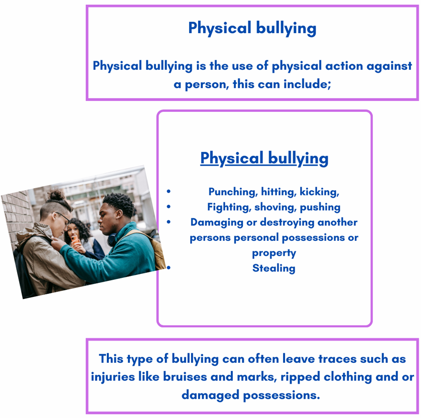 physical bullying case study